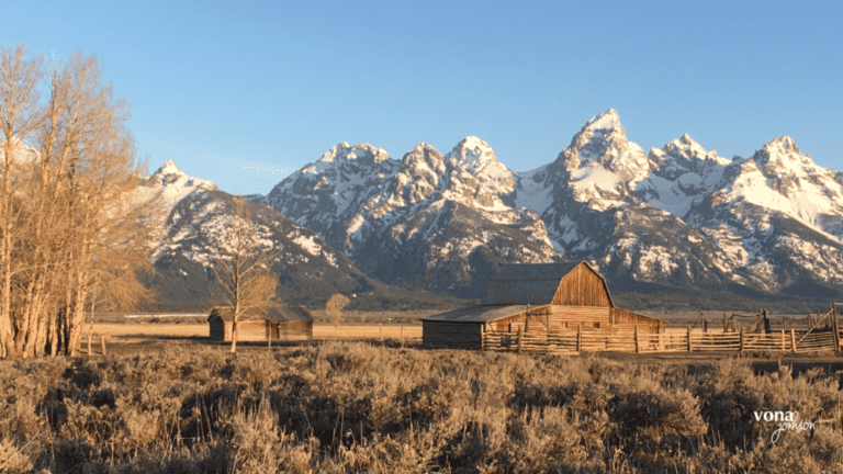 Barn at Jackson WY by Vona Johnson